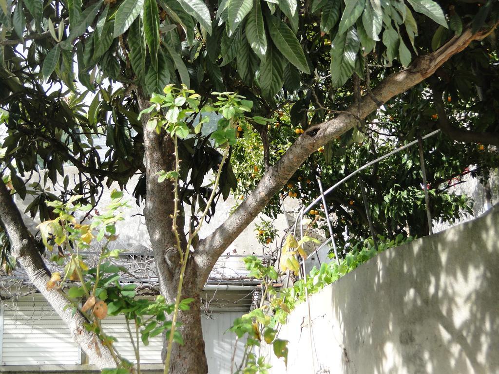 The Country In The Town Apartment Lisbon Exterior photo